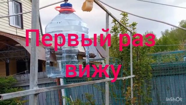 Такое вижу первый раз