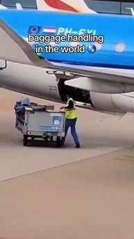 #микромир #интересно #наука #микроскоп #подмикроскопом