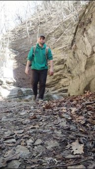 лес прогулка релакс