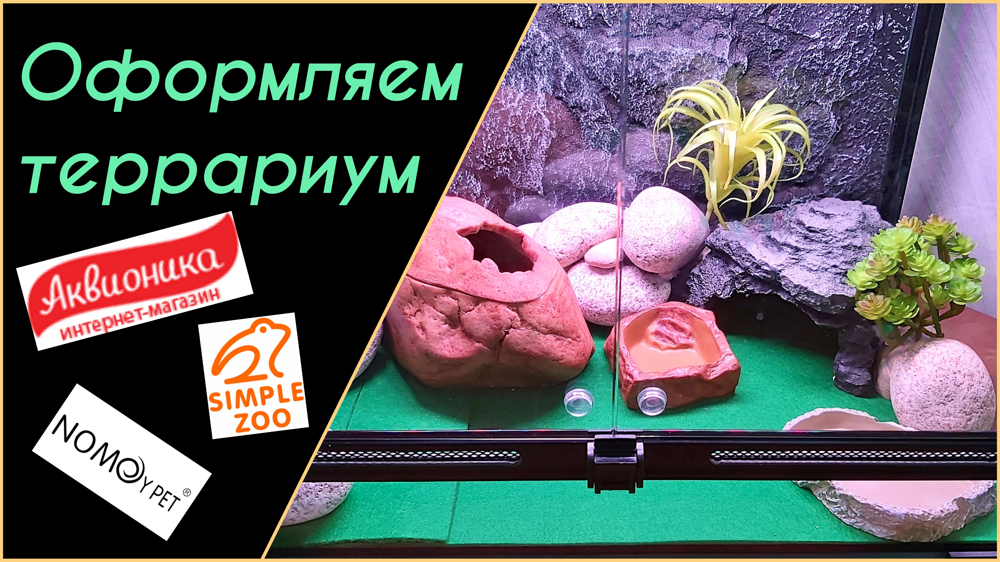 Оформляем новый террариум