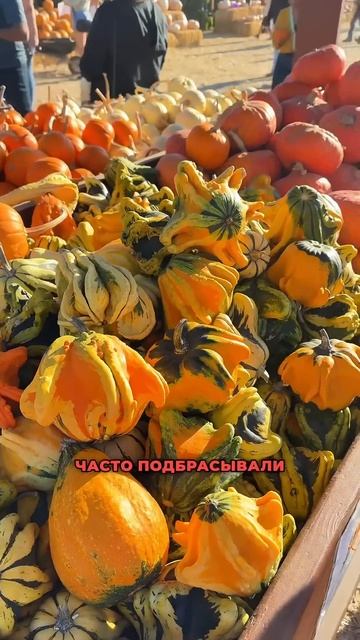 🎃 Хэллоуин появился не в США