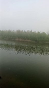 Река Болда.Лёгкий утренний туман.
