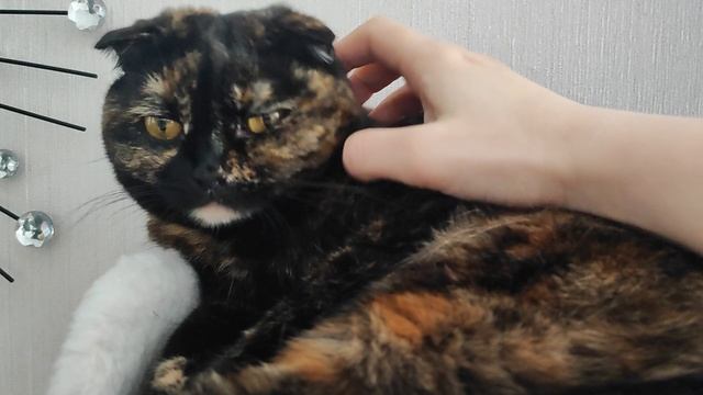 Тискала бы и тискала🥰