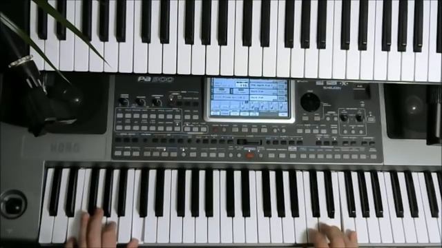 _“Импровизация на известную мелодию - 3_“ . KORG PA900 _ Igor Korg