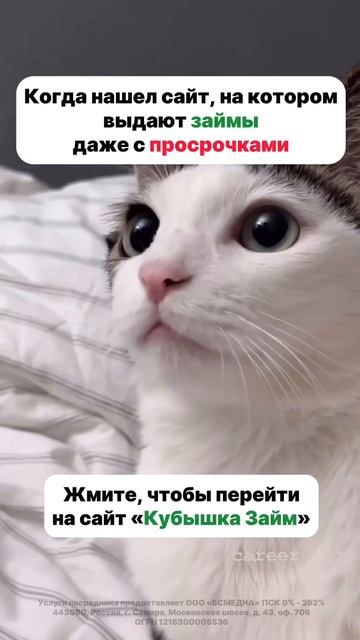 Кубышка Займ — деньги на карту за считанные минуты!