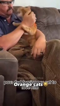 Cats That Will Instantly Cheer You Up