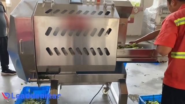 Машина для нарезки овощей и фруктов Leaddenmar Belt Cutter Pro L190