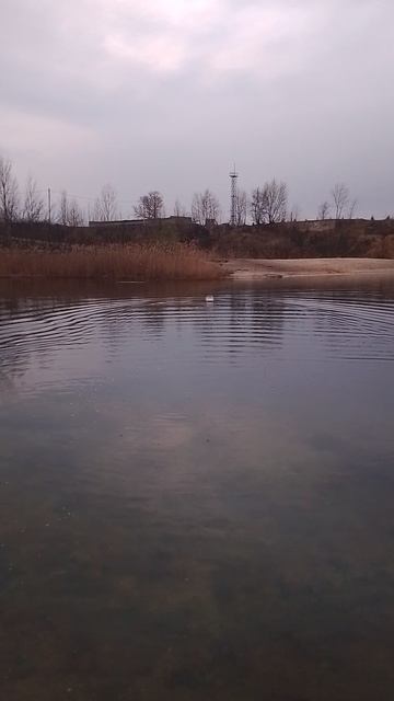 Прикормочный кораблик Nitro Carp .mp4