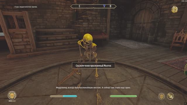 The Elder Scrolls IV  Oblivion Remastered - призыв скелета воина.внешний вид