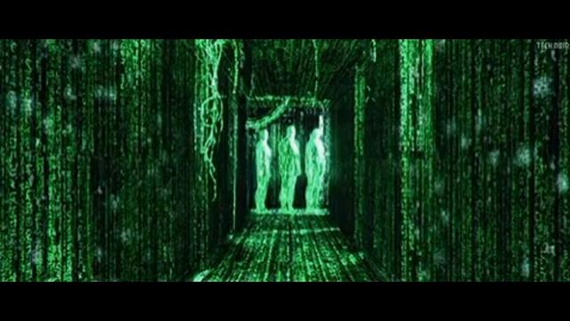 ИНФОРМАЦИОННЫЙ МУСОР. ВЛИЯНИЕ НЕВЕЖЕСТВА НА НАШЕ СОСТ