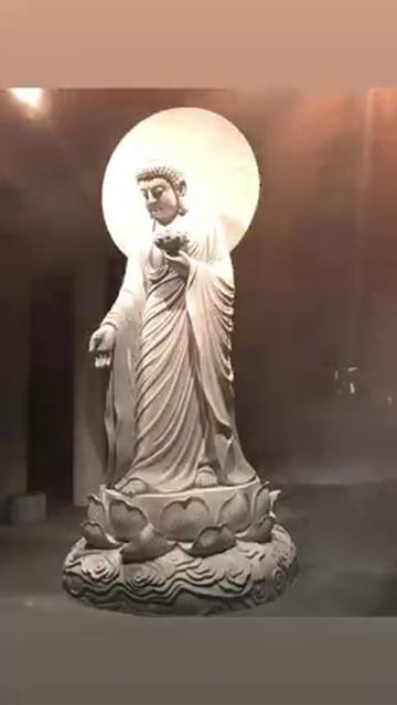 Мир домашних питомцев – Серия 476: Забавные и милые моменты