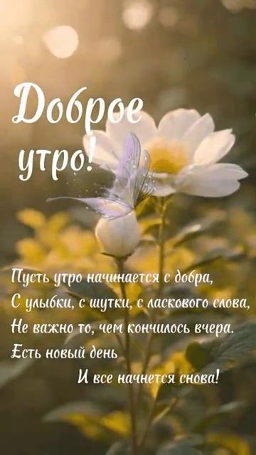 Доброе утро