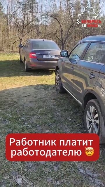 У беларусских айтишников новое развлечение 😂 #белар?