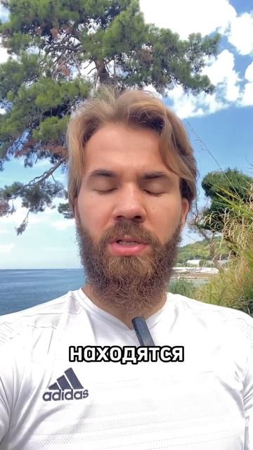 Куда инвестировать теперь? Смена бычьего движения на ?