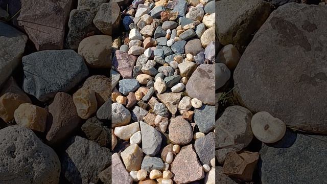 1000021543.mp4