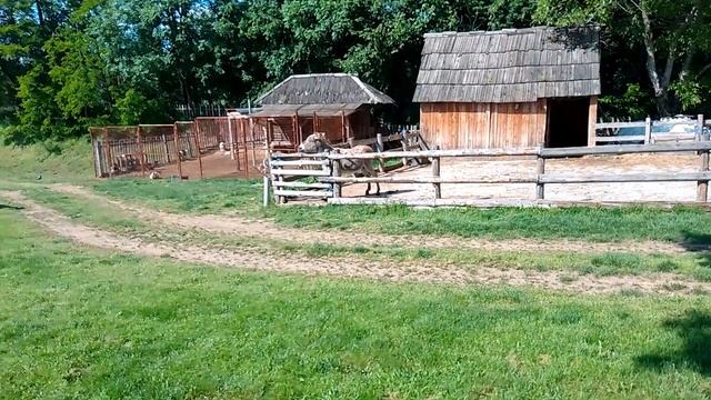 Магаре