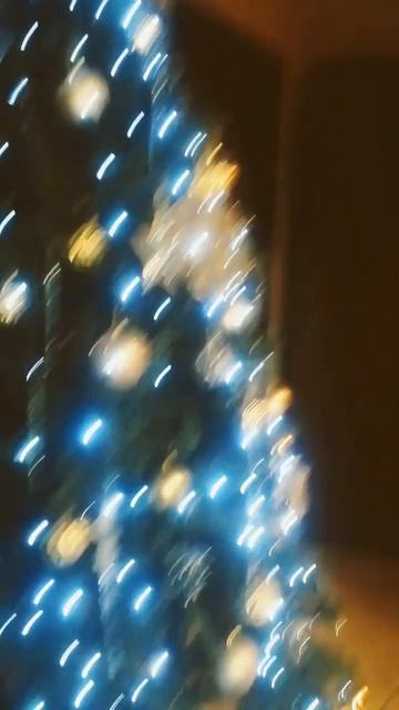 31 декабря 2024 г.