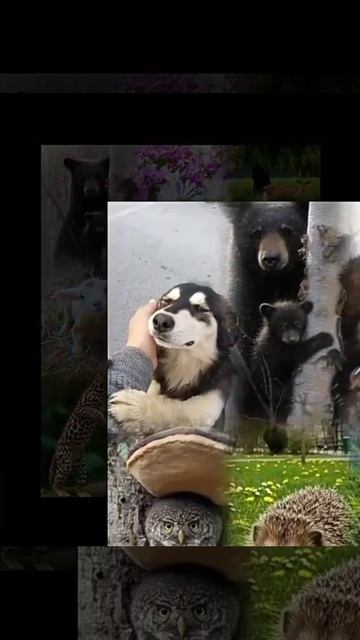 IMG_20250511_103123_395.mp4