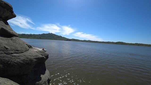 petal_20240513_200605.mp4