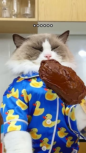 Половинки