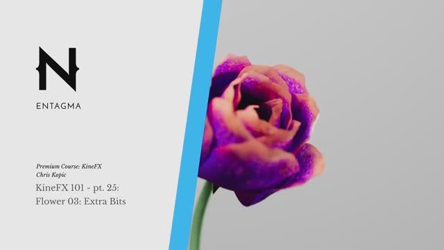 pt. 25- Flower 03- Extra Bits