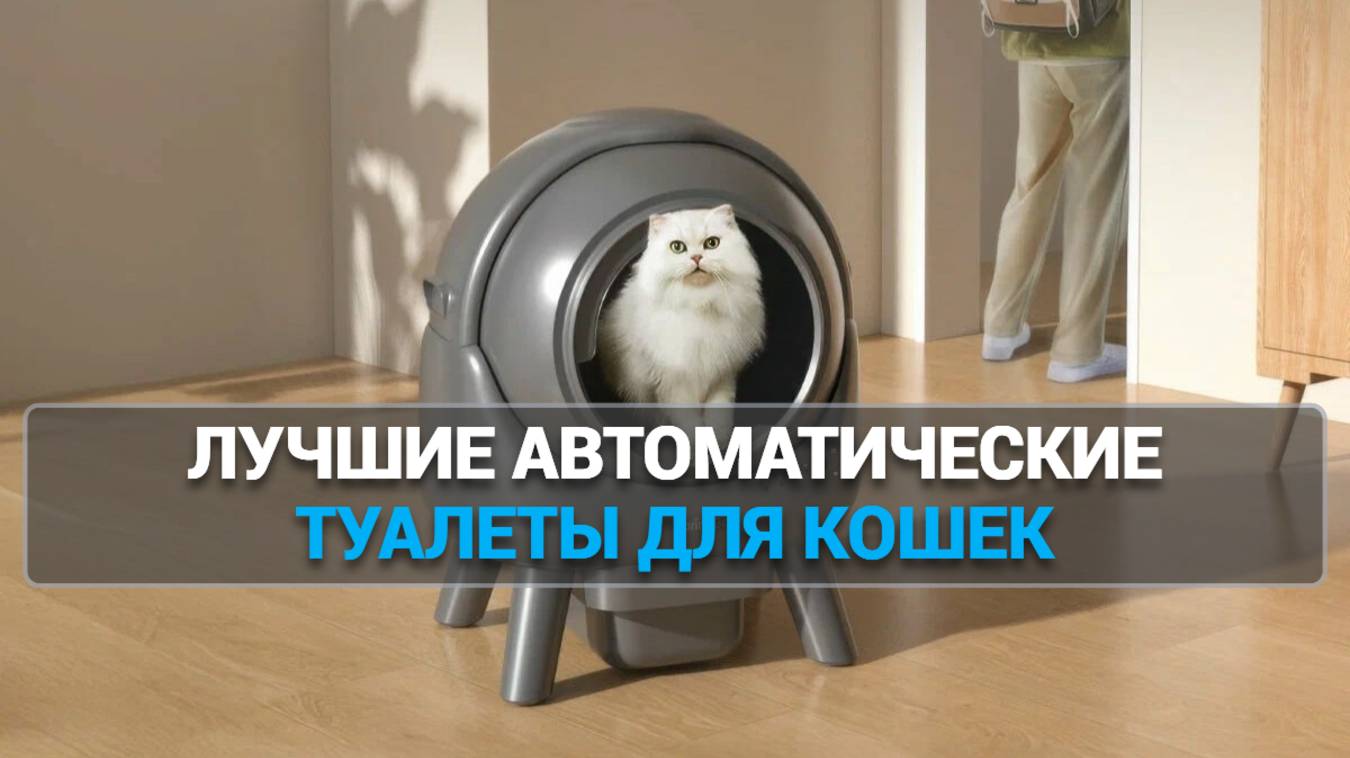 ТОП-5 АВТОМАТИЧЕСКИХ ЛОТКОВ 🚀 ДЛЯ КОШЕК – УДОБСТВО И ЧИСТОТА! 💖