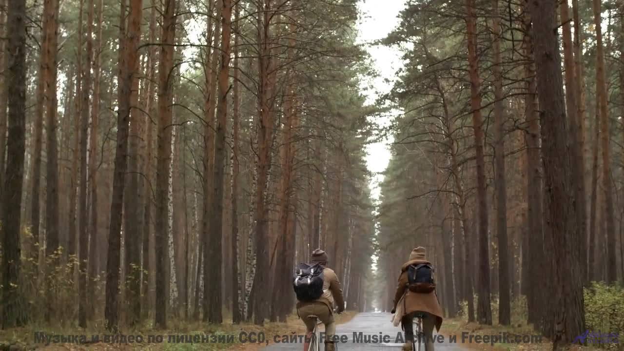 Этот контент создан для жителей будущего - но доступен вам сейчас! - Movimiento -- Danke Sun -- Movi