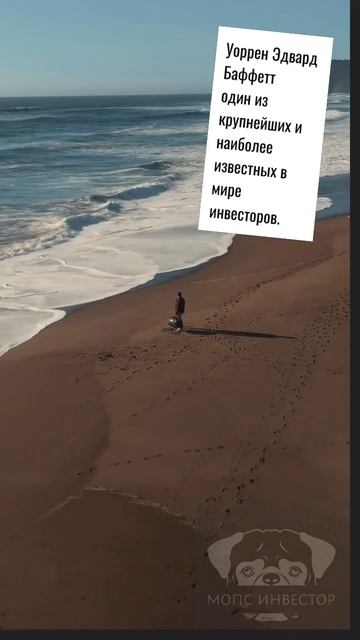 Цитаты успешных людей Уоррен Эдвард Баффетт . #собака #