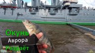 СТРИТФИШИНГ-ПРОБЕГ ПО ЛОКАЦИЯМ ЗАЯЧИЙ ОСТРОВ КРЕЙСЕР АВРОРА С РЫБАЛКОЙ НА #окуня #ОТВОДНОЙ ПОВОДОК
