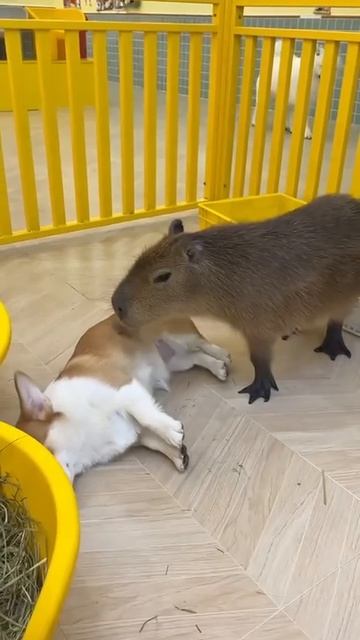 Знакомство