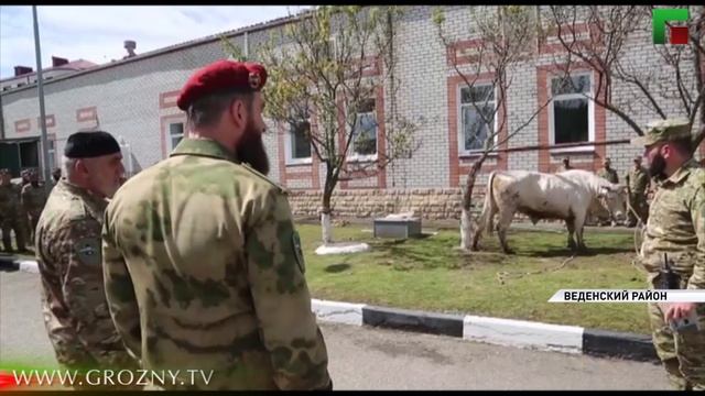 В День памяти и скорби народов ЧР в республике прошли масштабные благотворительные акции