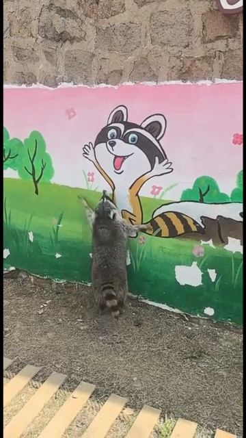 давай дружить ❤️🫶