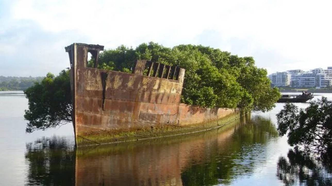 История заброшенного корабля SS Ayrfield "Плавающий лес"