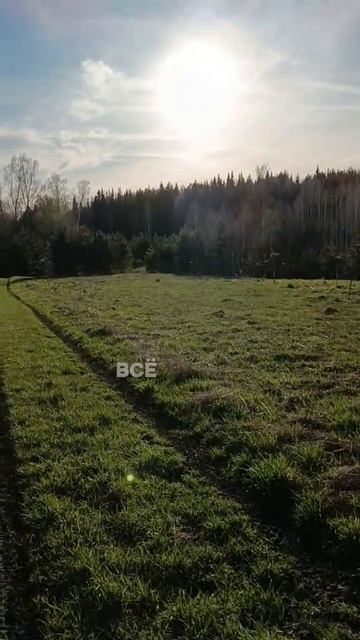 Потребность всё контролировать