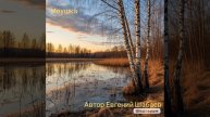Ивушка. Автор Евгений Шабаев.
#топ #россия #музыка #русский