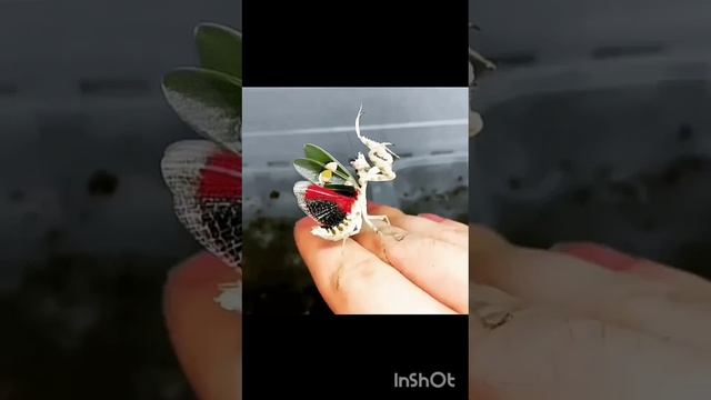 9494e7c2-6a59-40b3-93ac-fe023c2b3518.mp4