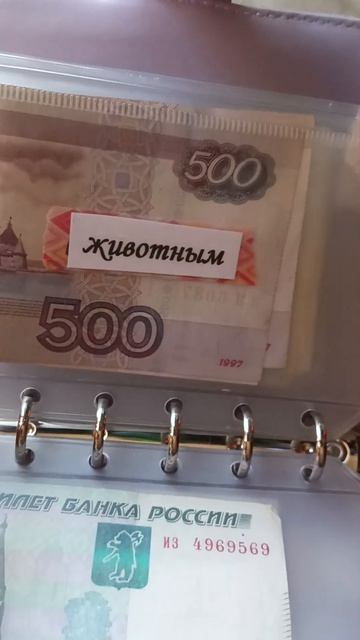 9 января 2025 г.