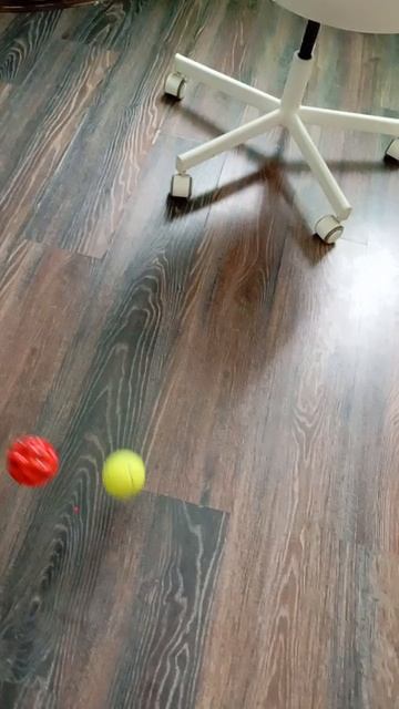 1000020642.mp4