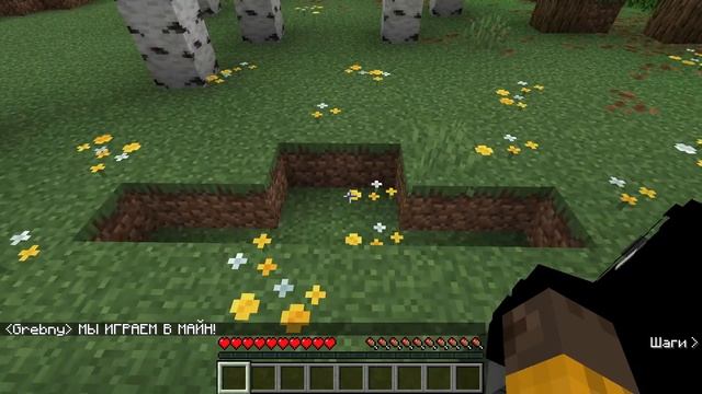 Майнкрафт прохождение 2