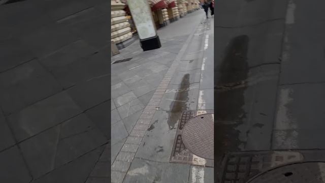 1000042895.mp4Москва.11.05.2025г.