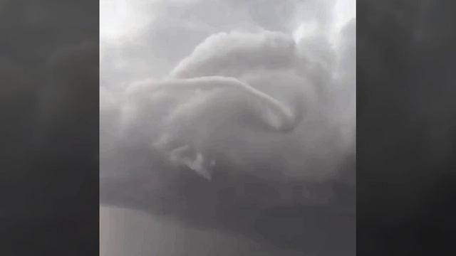 IMG_20250511_103234_197.mp4