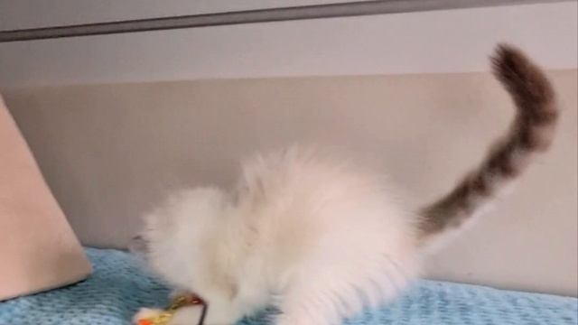 1000031436.mp4