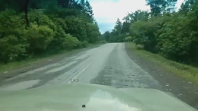 Мерседес w123 200D. Поездка в дождливый день. Горный Алтай.