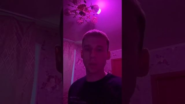 Как подключить лампочку к яндекс станции?