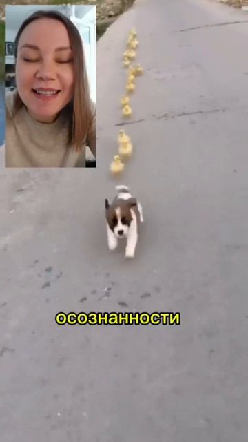 #осозналка когда мысли одолевают