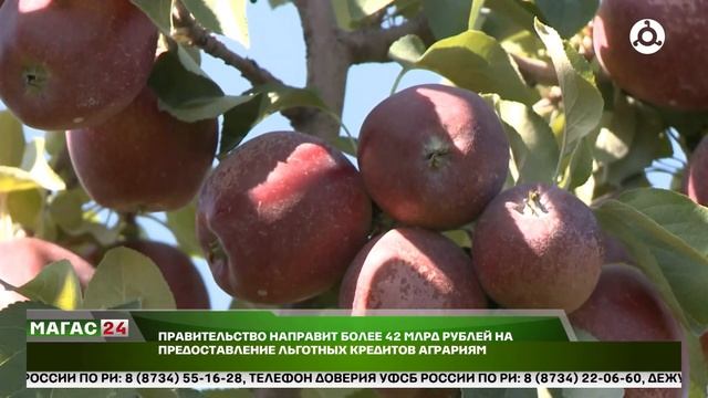 Правительство направит более 42 млрд рублей на предост