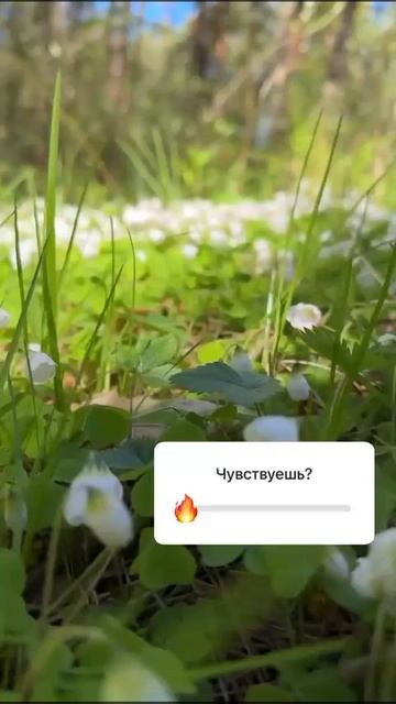 Калининграсдкая область! Весна
