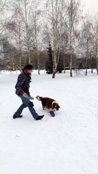 БК Байрон - совместные, каскад