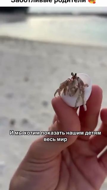 ..... ¿¿¿¿