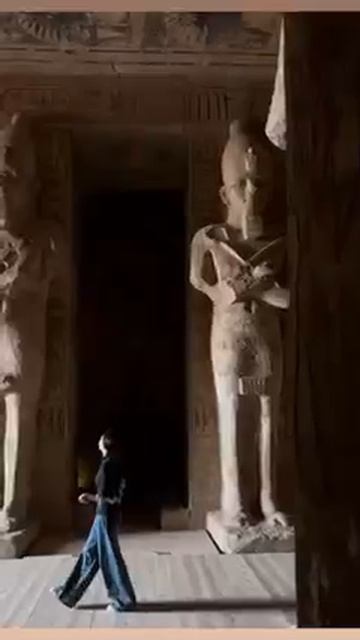 Мир домашних питомцев – Серия 467: Забавные и милые моменты